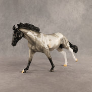 Raven OOAK FCM Remington by Madi Wiseman DDOOAKs26
