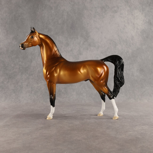 Ray OOAK Arabian Stallion by Ellen Robbins SHCF26