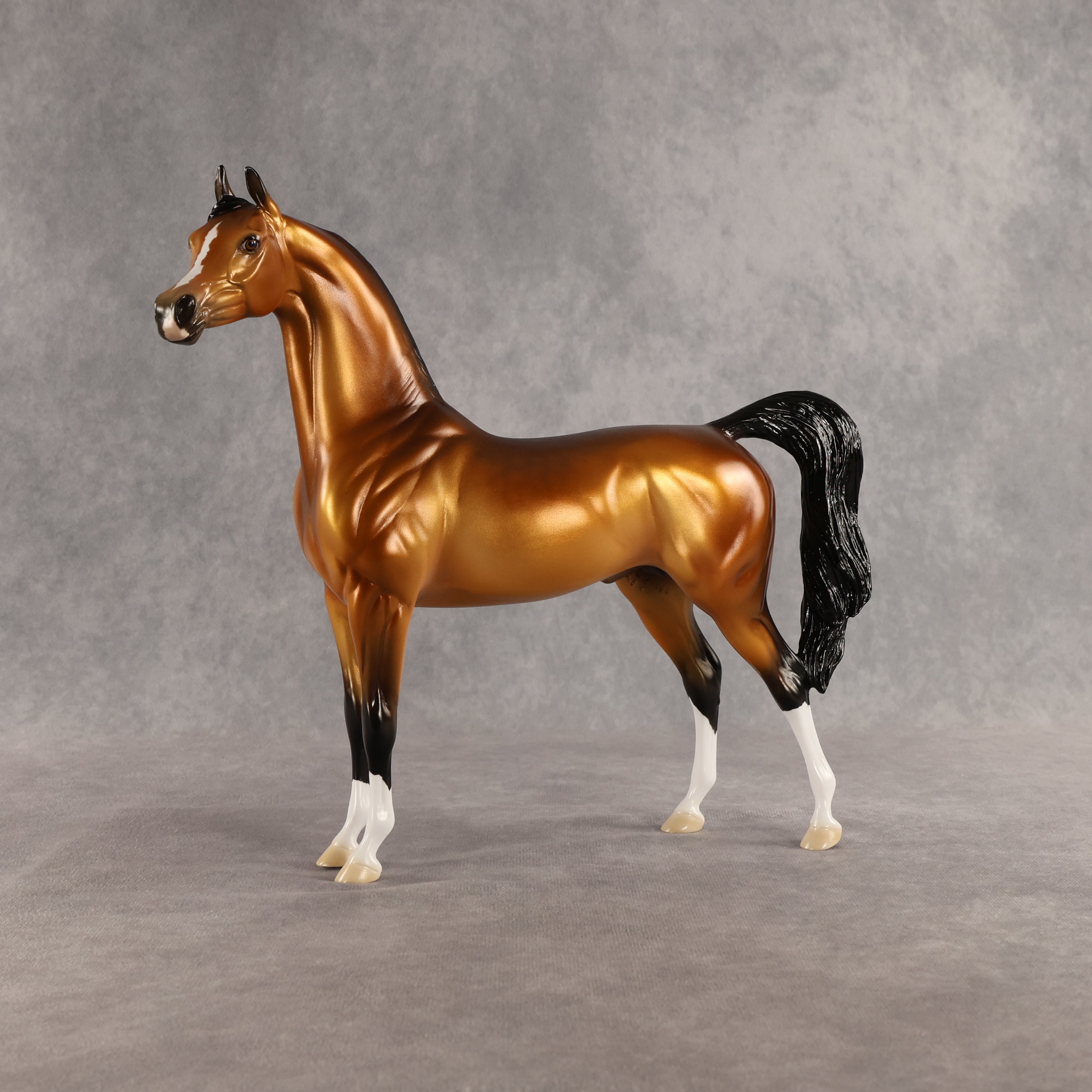 Ray OOAK Arabian Stallion by Ellen Robbins SHCF26