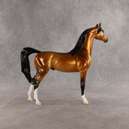 Ray OOAK Arabian Stallion by Ellen Robbins SHCF26