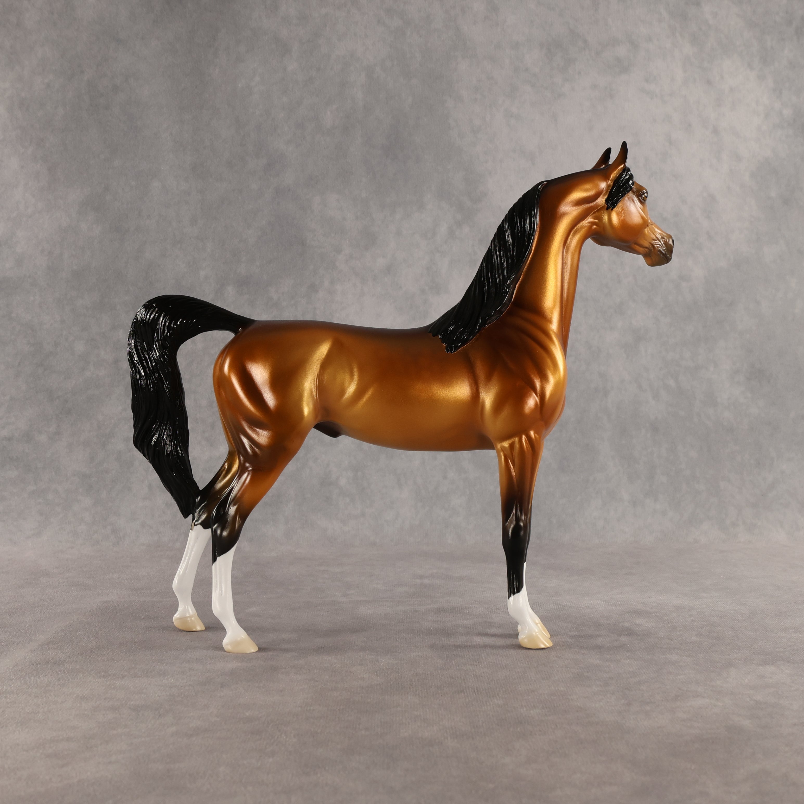 Ray OOAK Arabian Stallion by Ellen Robbins SHCF26