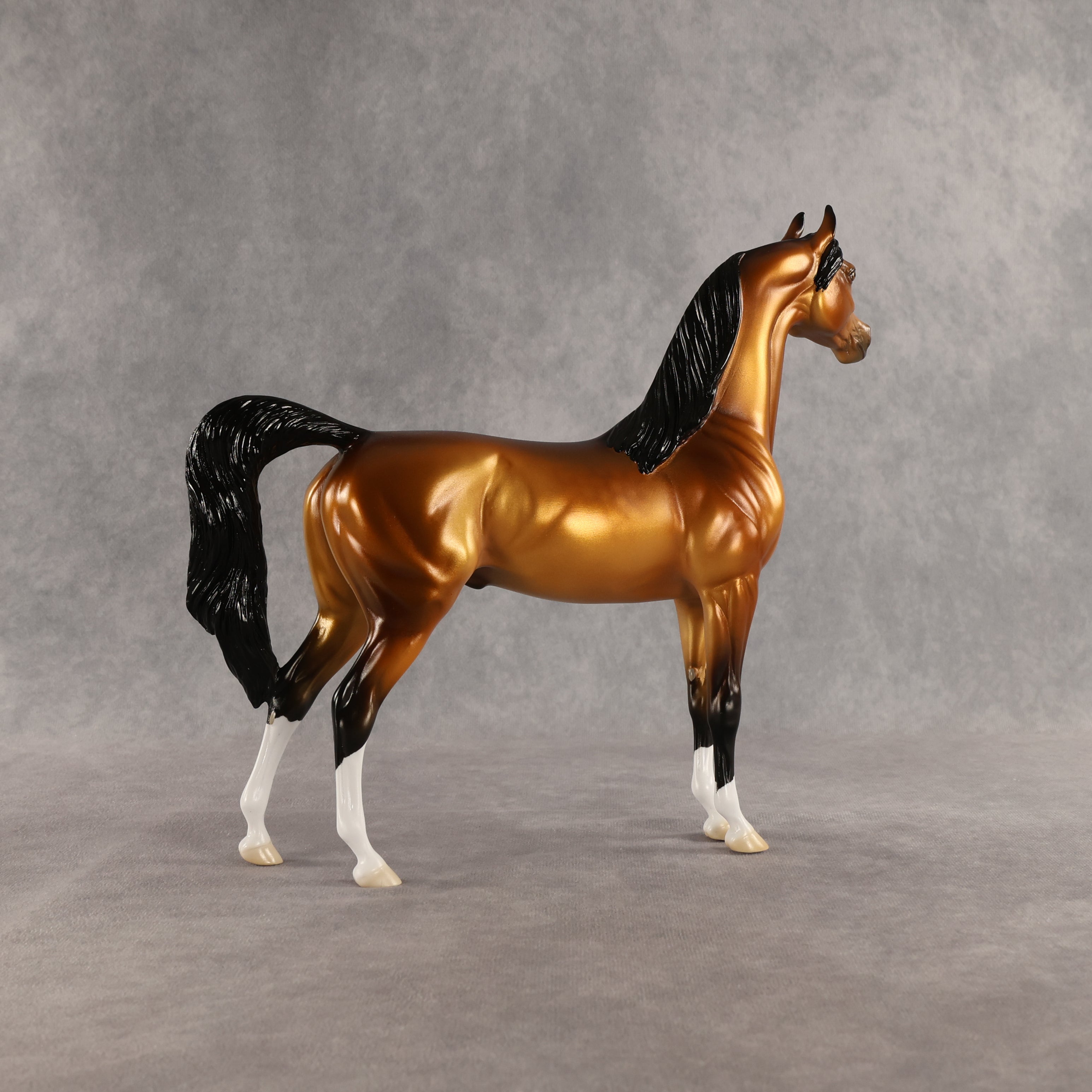 Ray OOAK Arabian Stallion by Ellen Robbins SHCF26