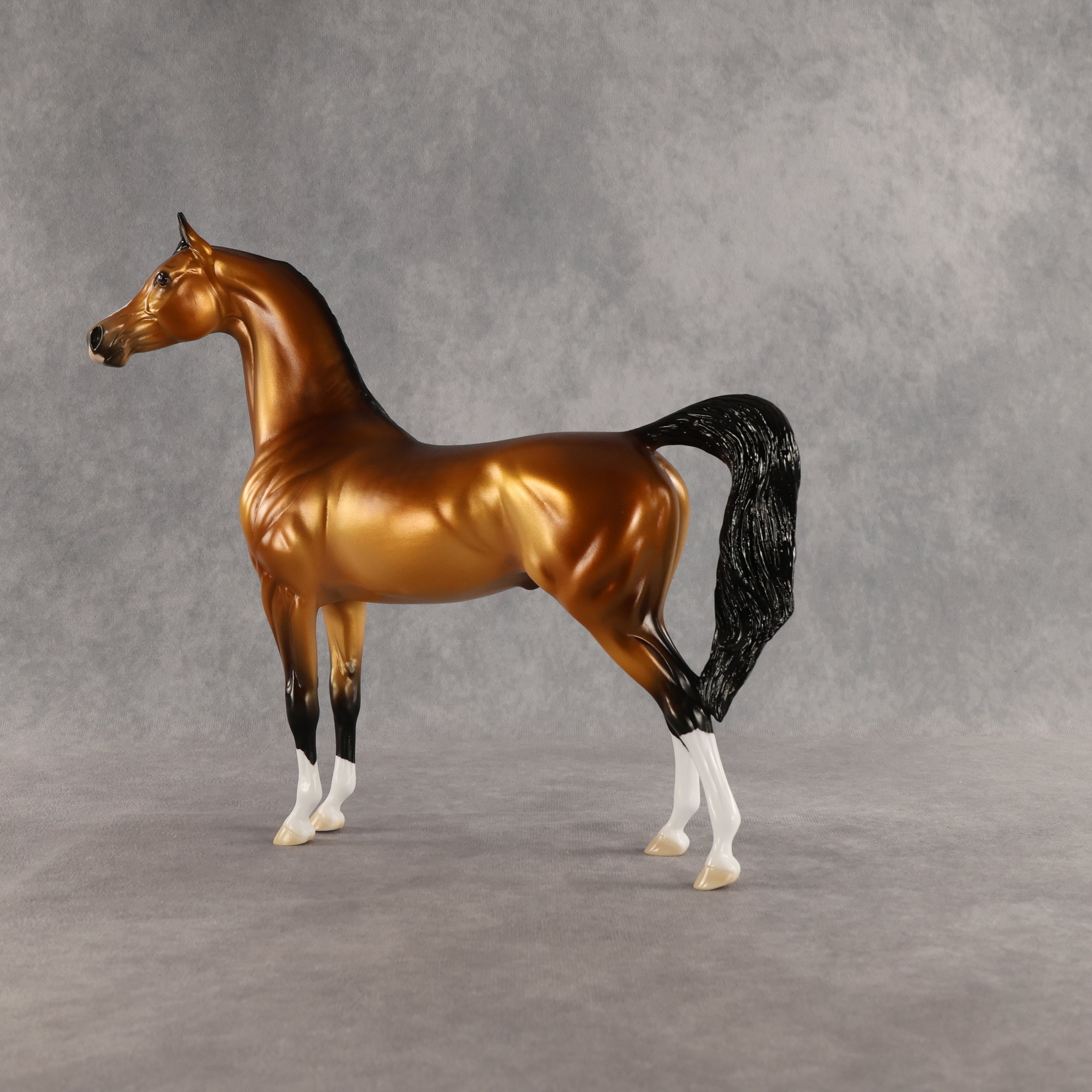 Ray OOAK Arabian Stallion by Ellen Robbins SHCF26