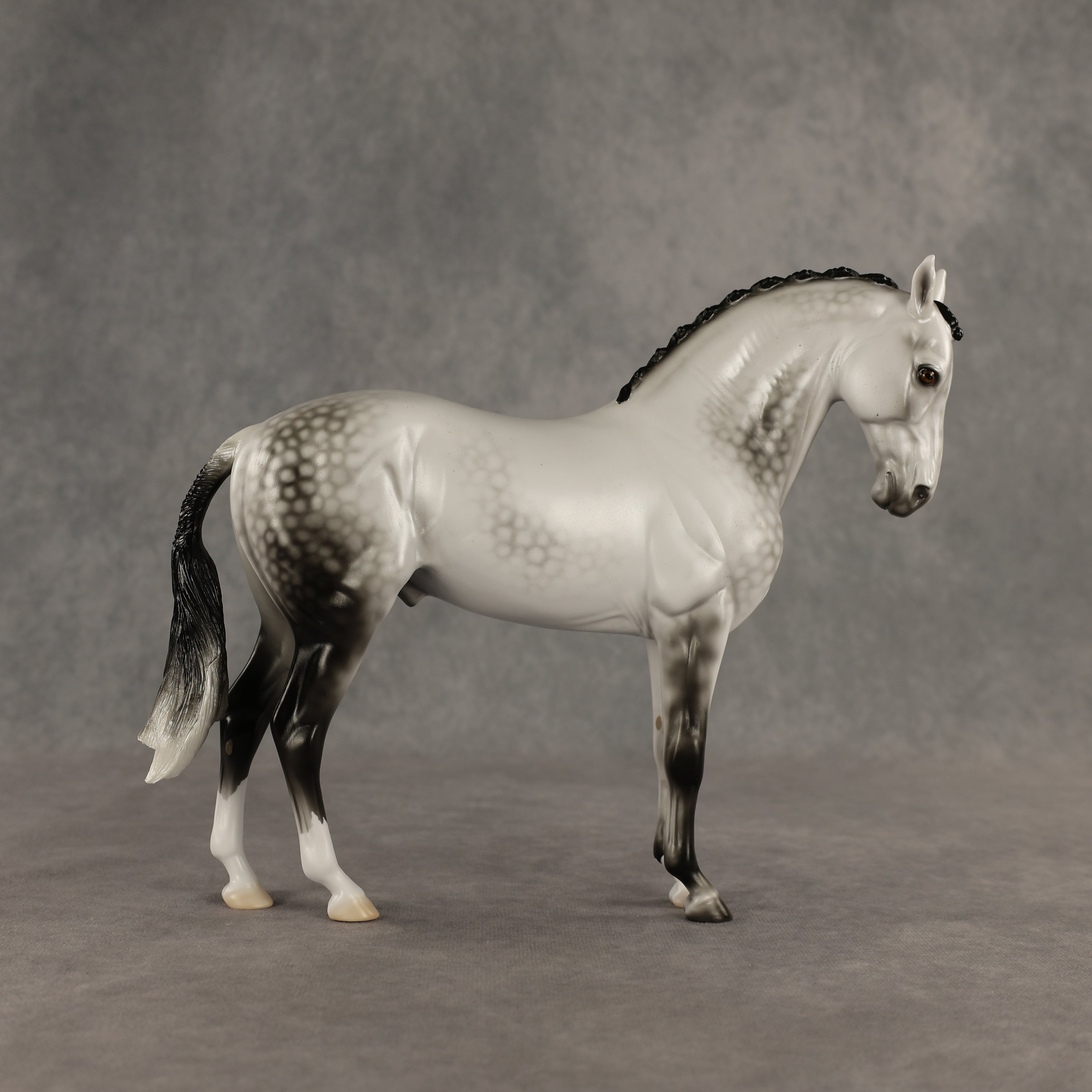 Reality Check Judges' Model LE-19 FCM Andalusian by Ellen Robbins SHCF26