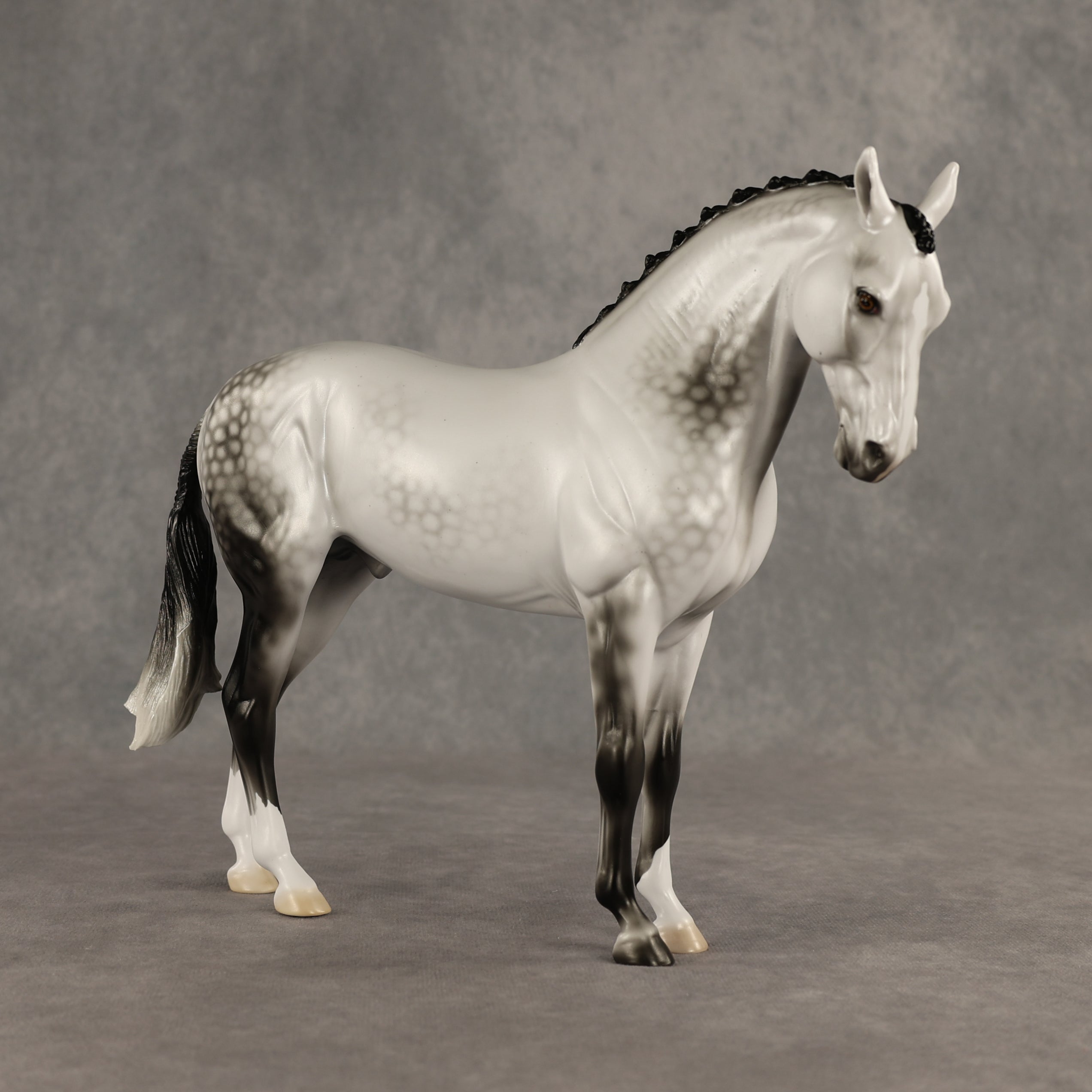Reality Check Judges' Model LE-19 FCM Andalusian by Ellen Robbins SHCF26