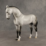Reality Check Judges' Model LE-19 FCM Andalusian by Ellen Robbins SHCF26