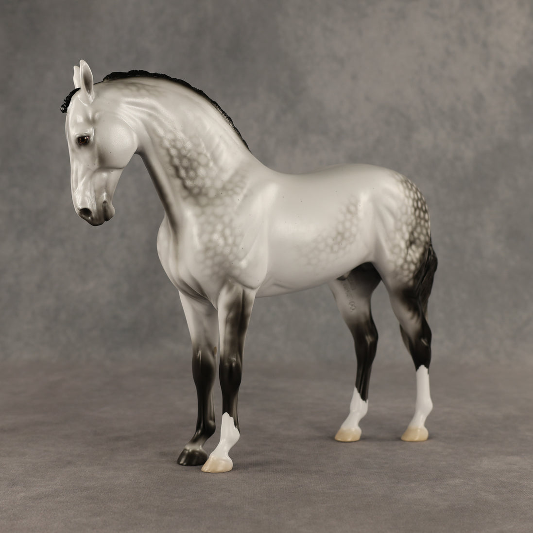 Reality Check Judges' Model LE-19 FCM Andalusian by Ellen Robbins SHCF26
