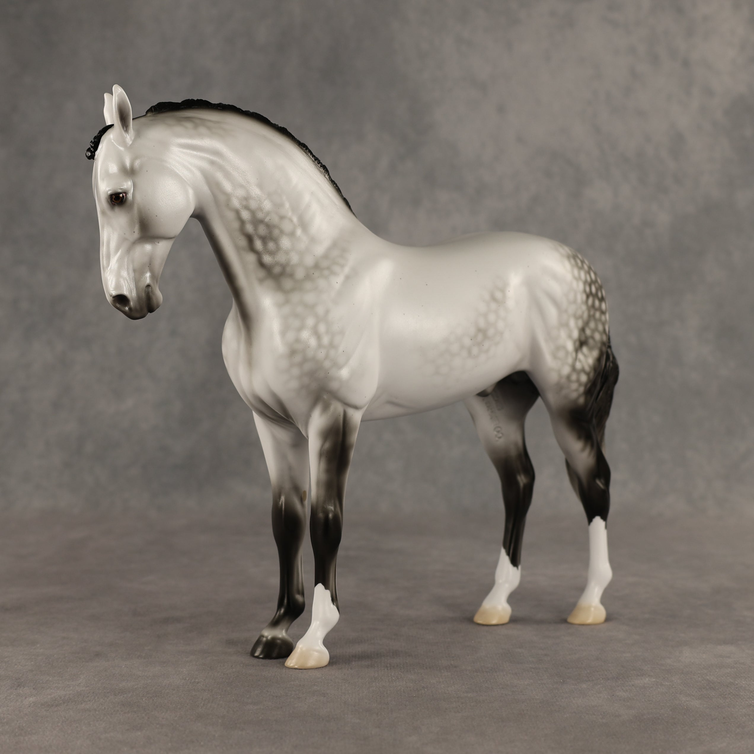 Reality Check Judges' Model LE-19 FCM Andalusian by Ellen Robbins SHCF26