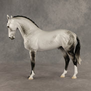 Reality Check Judges' Model LE-19 FCM Andalusian by Ellen Robbins SHCF26