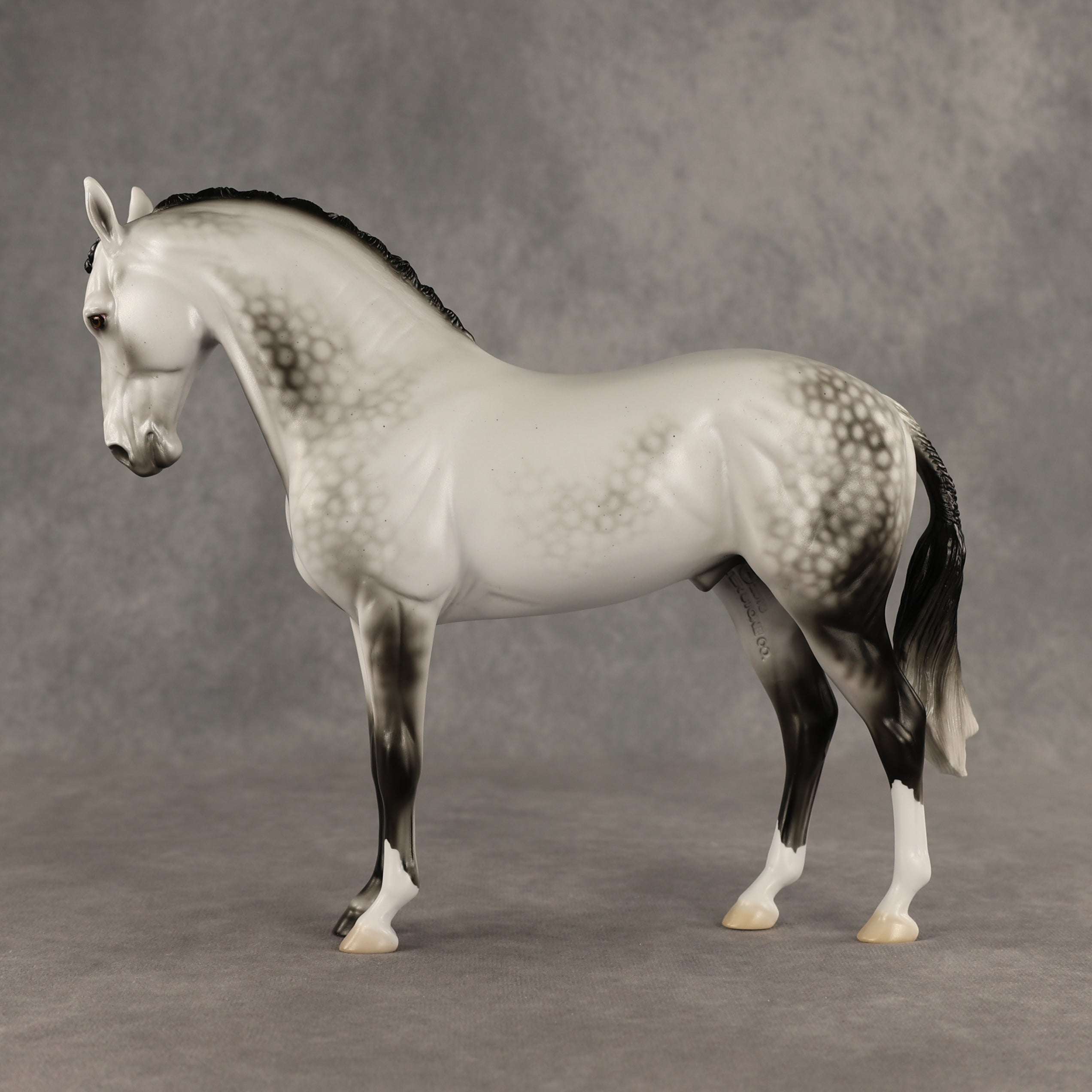 Reality Check Judges' Model LE-19 FCM Andalusian by Ellen Robbins SHCF26
