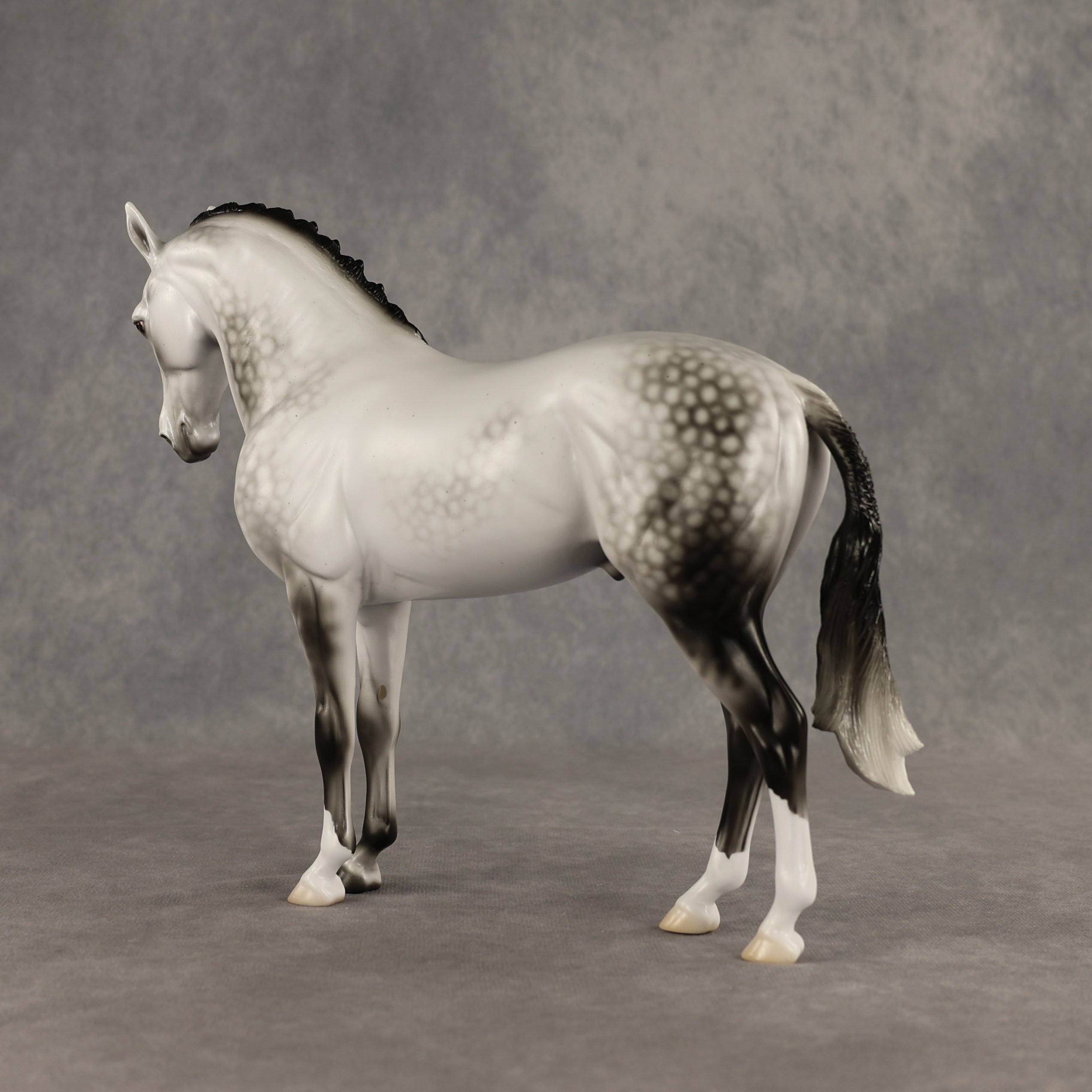 Reality Check Judges' Model LE-19 FCM Andalusian by Ellen Robbins SHCF26
