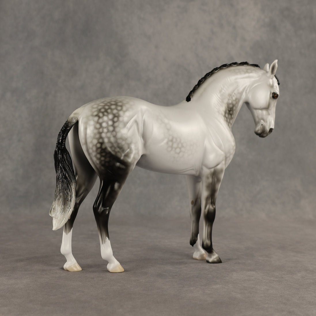 Reality Check Judges' Model LE-19 FCM Andalusian by Ellen Robbins SHCF26