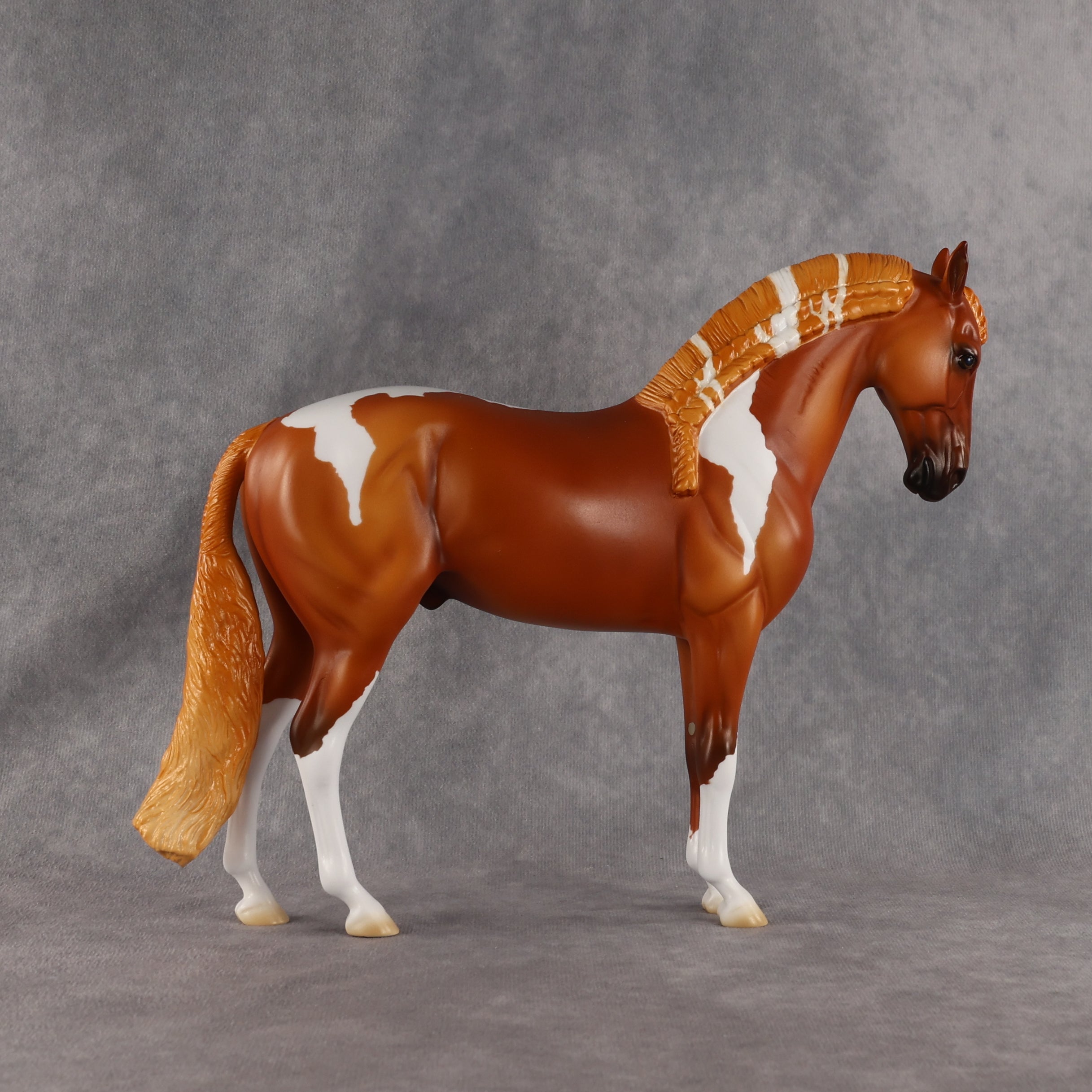 Reef OOAK FCM Andalusian by Madi Wiseman EQ26