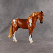Reef OOAK FCM Andalusian by Madi Wiseman EQ26