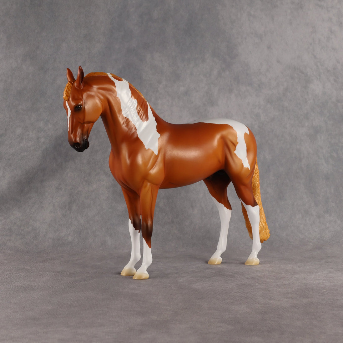 Reef OOAK FCM Andalusian by Madi Wiseman EQ26