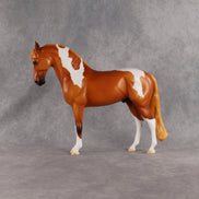 Reef OOAK FCM Andalusian by Madi Wiseman EQ26