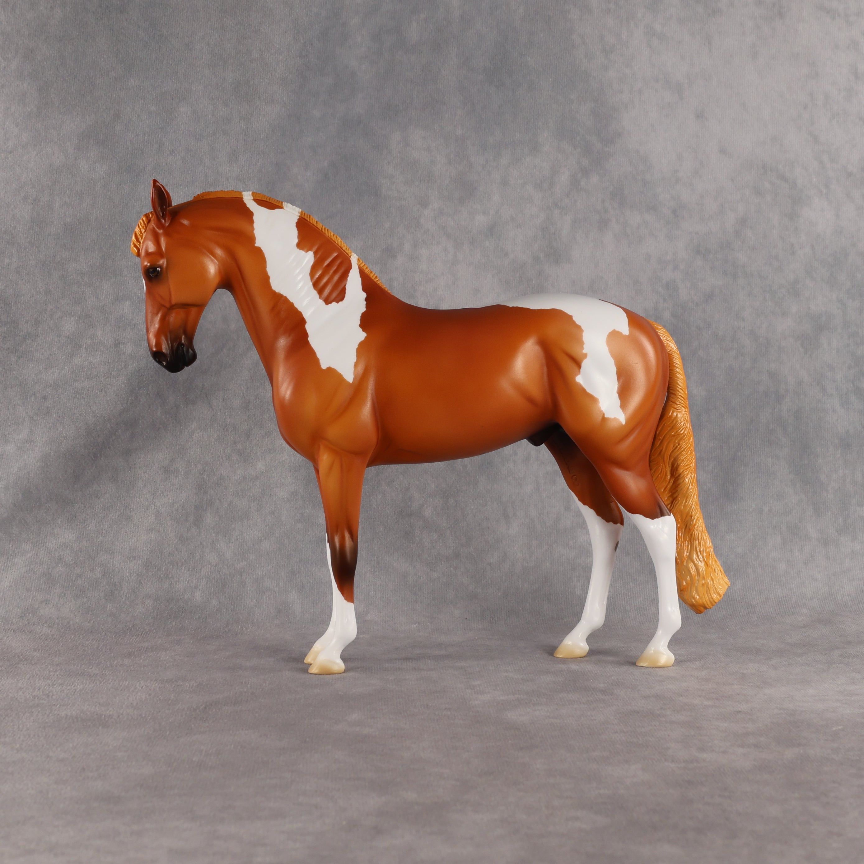 Reef OOAK FCM Andalusian by Madi Wiseman EQ26