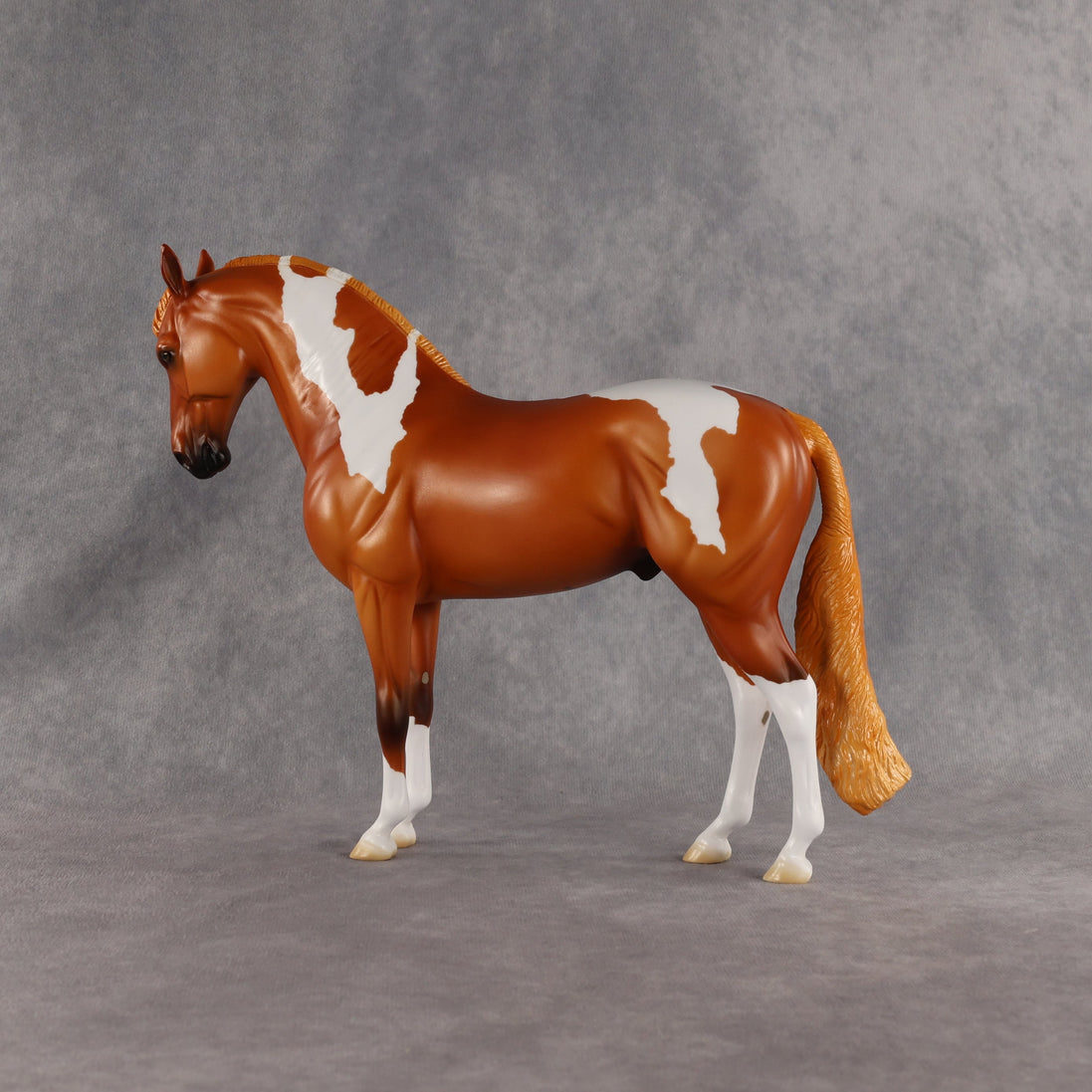 Reef OOAK FCM Andalusian by Madi Wiseman EQ26
