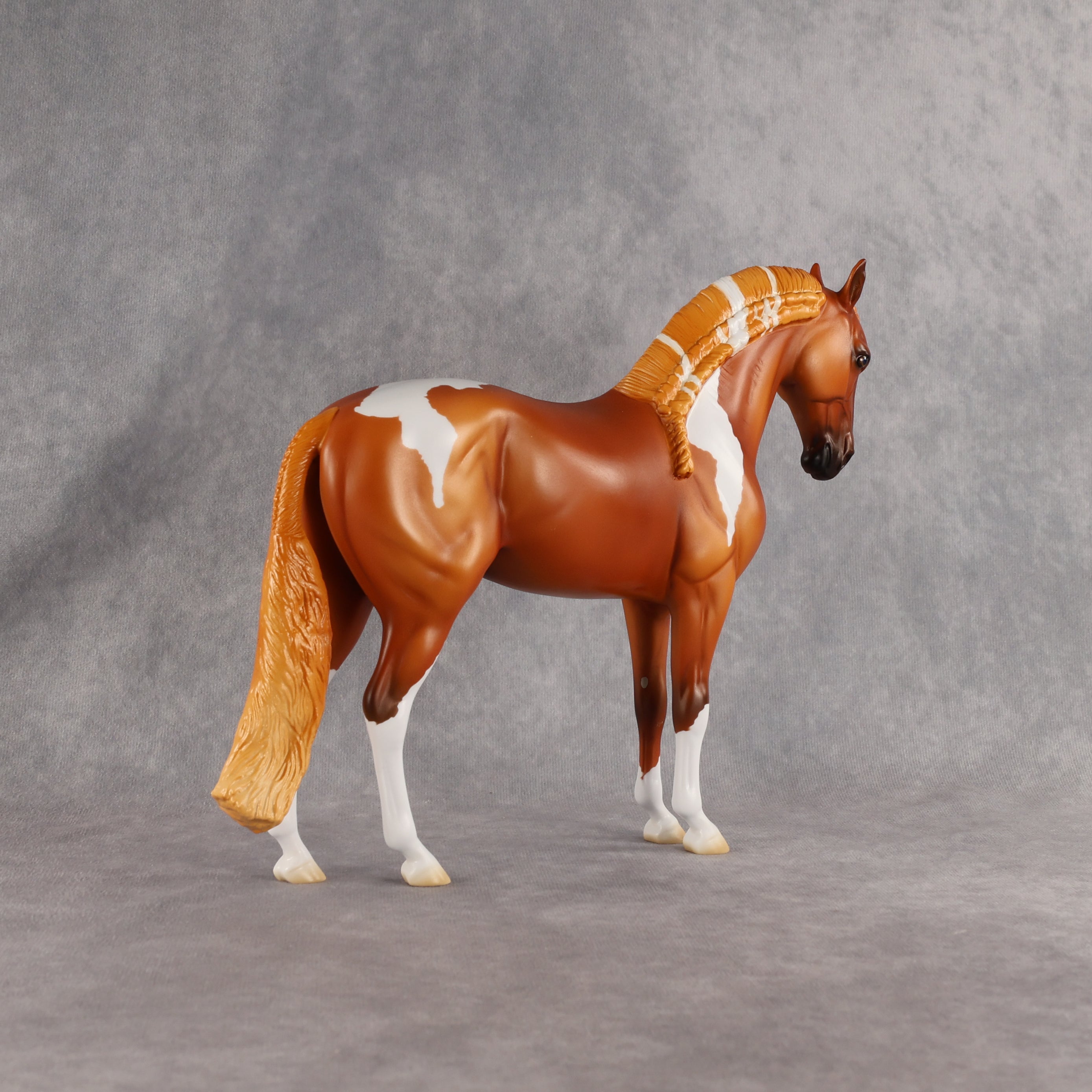 Reef OOAK FCM Andalusian by Madi Wiseman EQ26