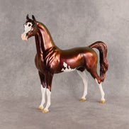 Refocus OOAK Arabian Stallion by Erin Corbett EBSD26