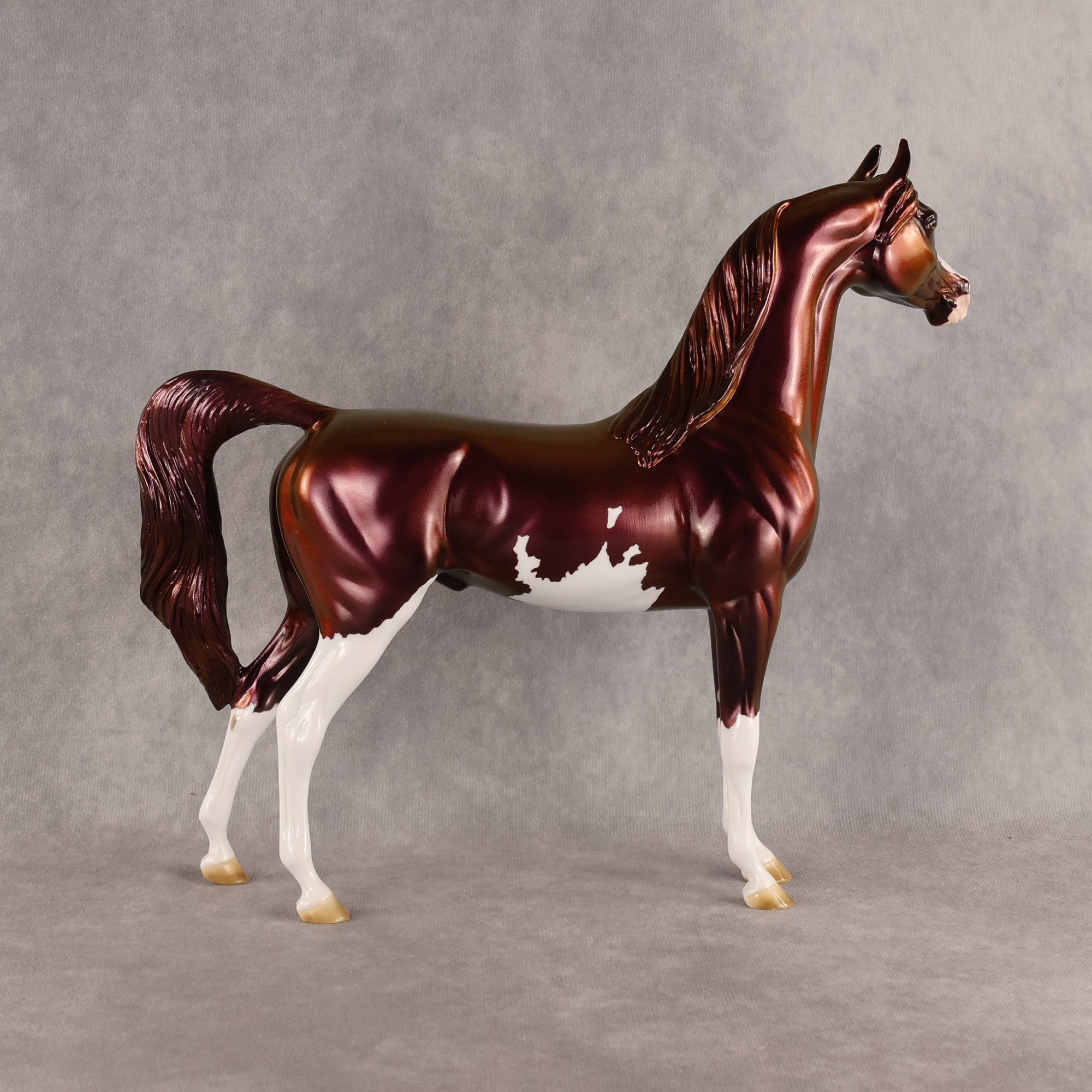 Refocus OOAK Arabian Stallion by Erin Corbett EBSD26