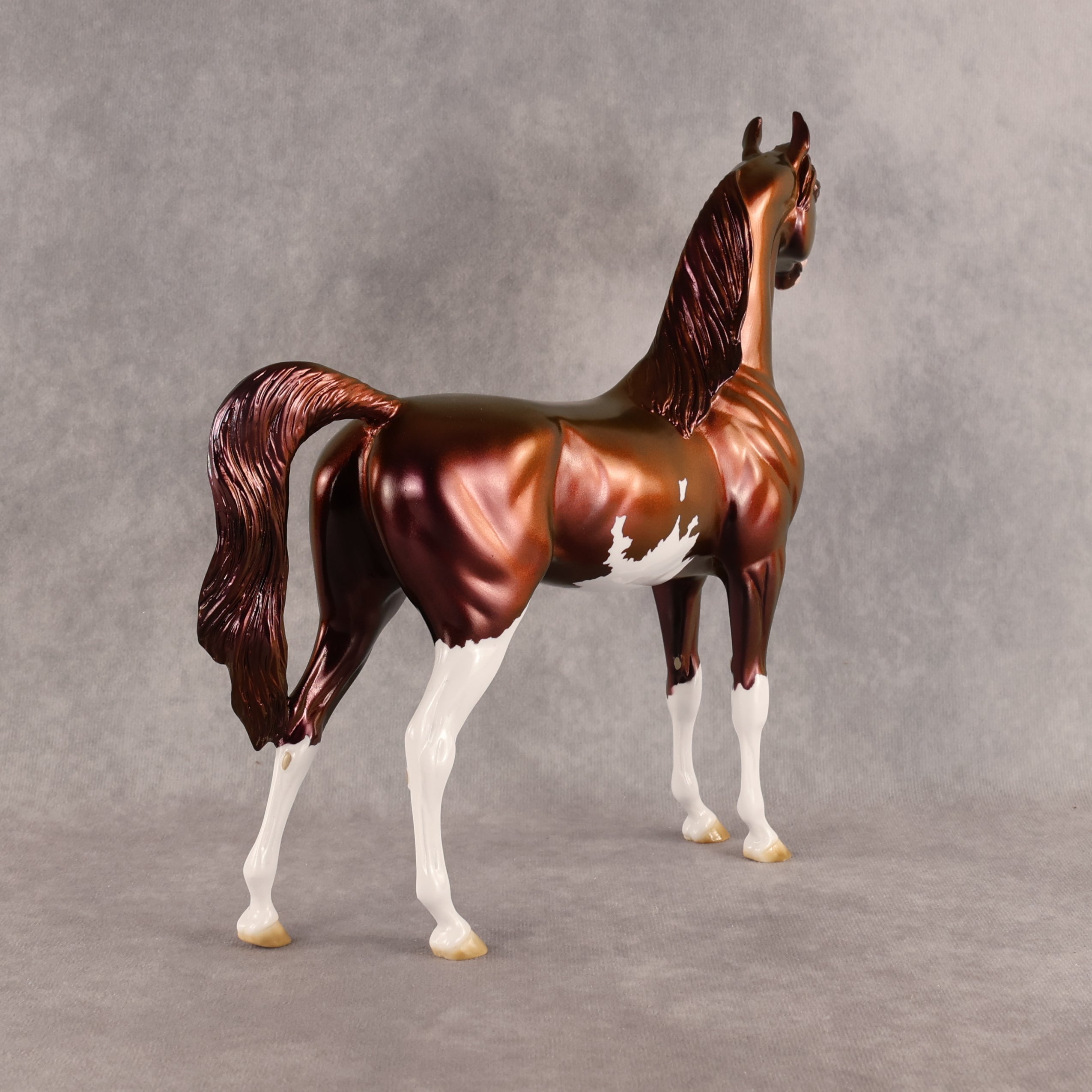 Refocus OOAK Arabian Stallion by Erin Corbett EBSD26