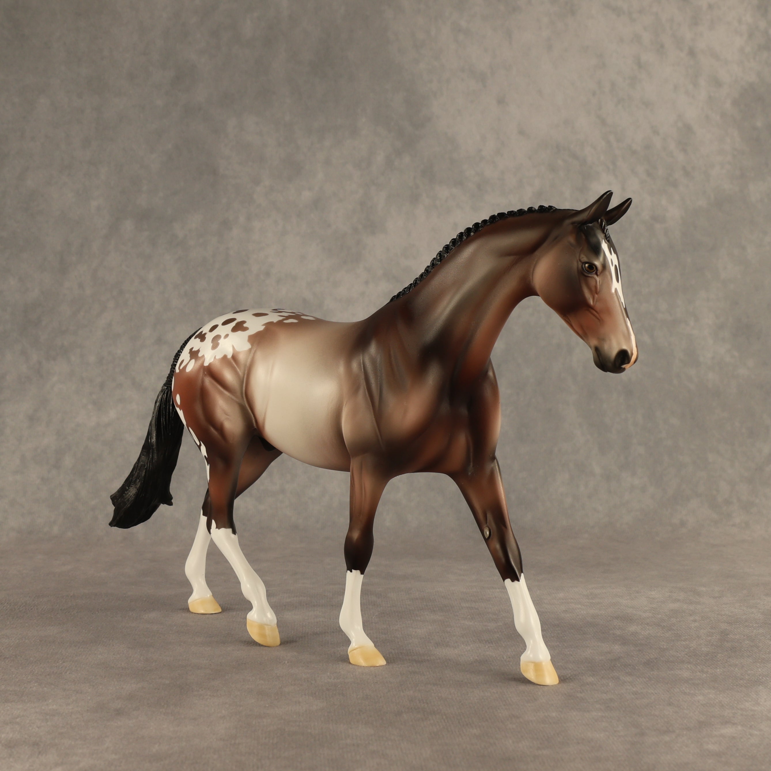 Rhizobia OOAK Pony by Dawn Quick DDOOAKs26