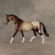 Rhizobia OOAK Pony by Dawn Quick DDOOAKs26