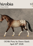 Rhizobia OOAK Pony by Dawn Quick DDOOAKs26