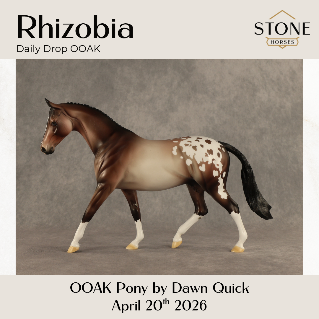 Rhizobia OOAK Pony by Dawn Quick DDOOAKs26