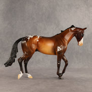 Rich Mocha OOAK Thoroughbred by Alex Fortman SHCF26