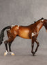 Rich Mocha OOAK Thoroughbred by Alex Fortman SHCF26