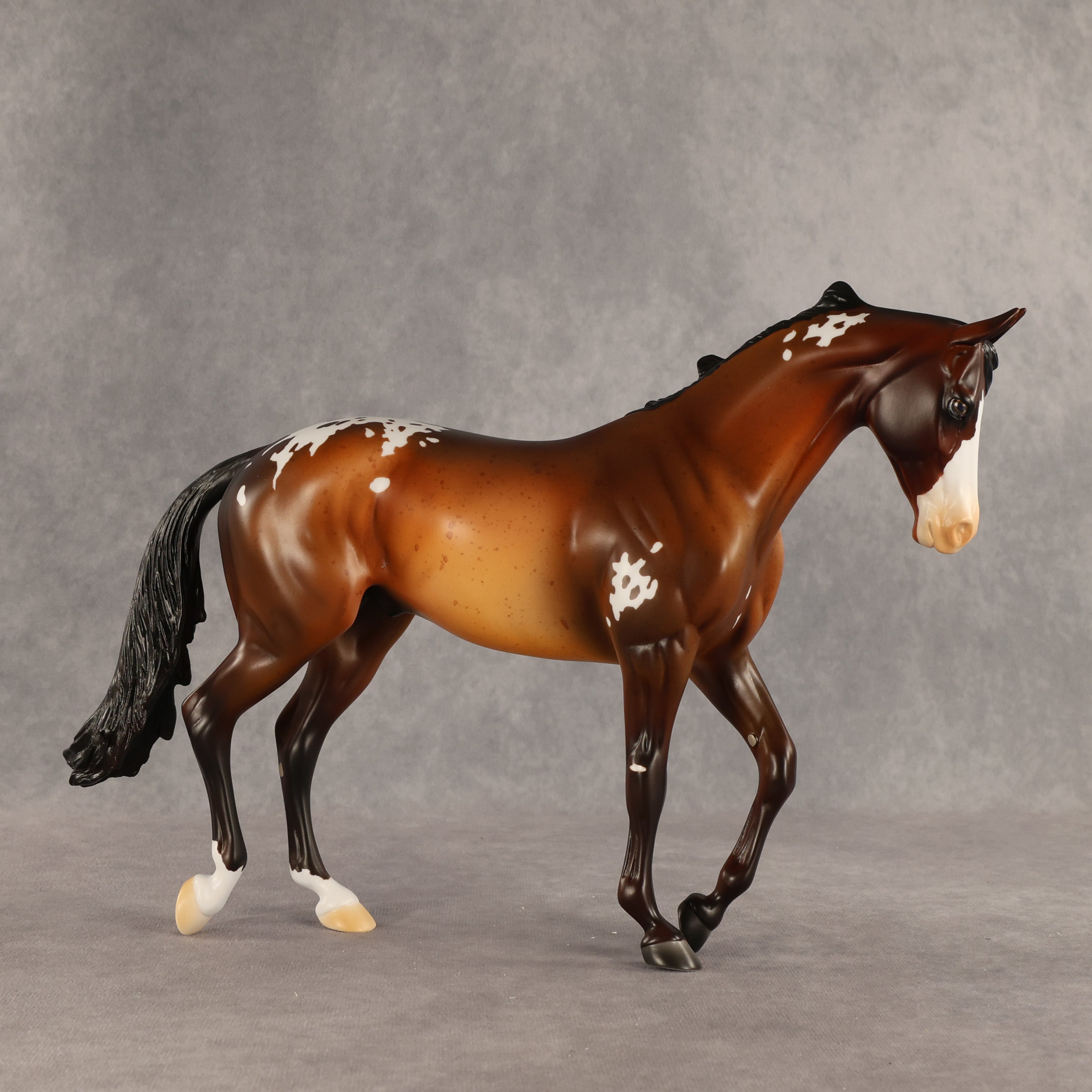Rich Mocha OOAK Thoroughbred by Alex Fortman SHCF26