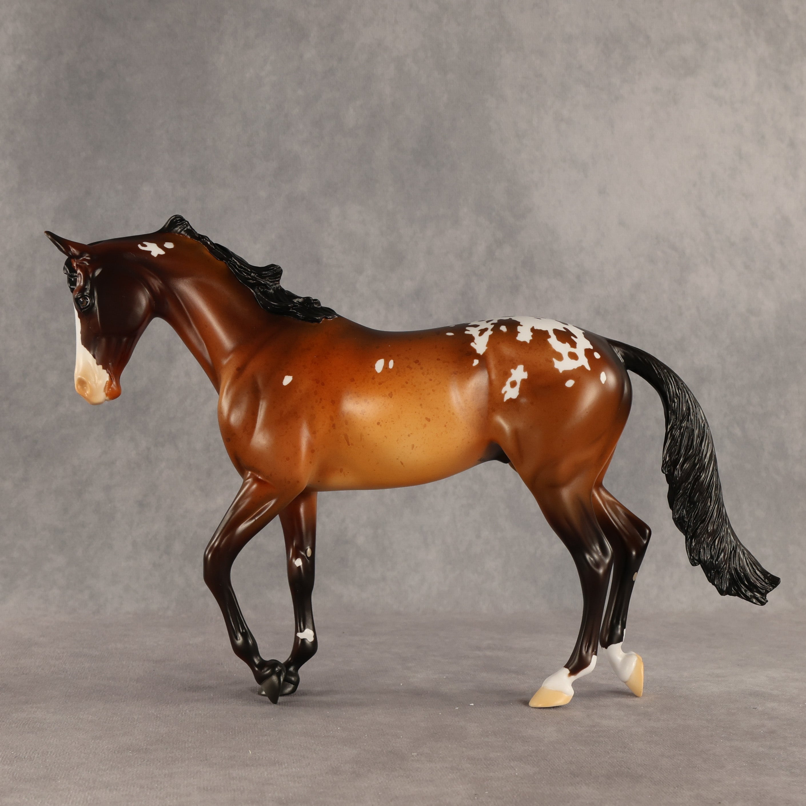 Rich Mocha OOAK Thoroughbred by Alex Fortman SHCF26