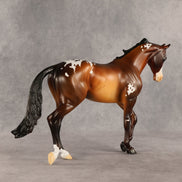 Rich Mocha OOAK Thoroughbred by Alex Fortman SHCF26