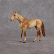 Richman LE-5 Chip Thoroughbred by Anna Rieck July $99 Chips