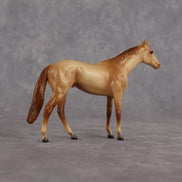 Richman LE-5 Chip Thoroughbred by Anna Rieck July $99 Chips