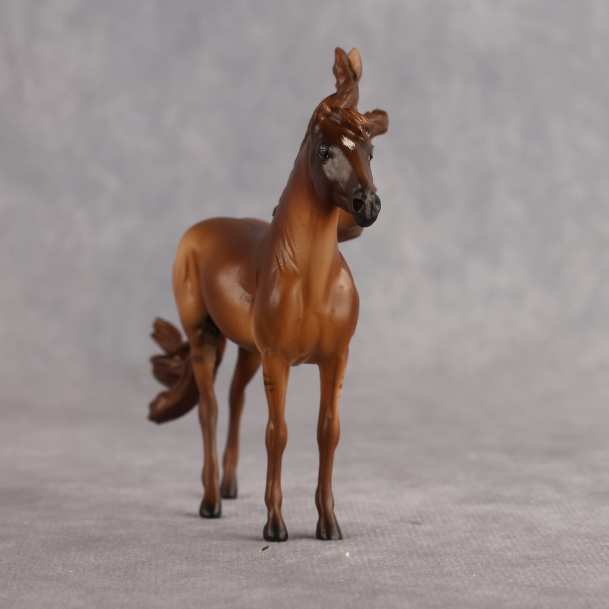 Right to Voicemail OOAK EFCM Chip Andalusian by Carly Kudalis MM26