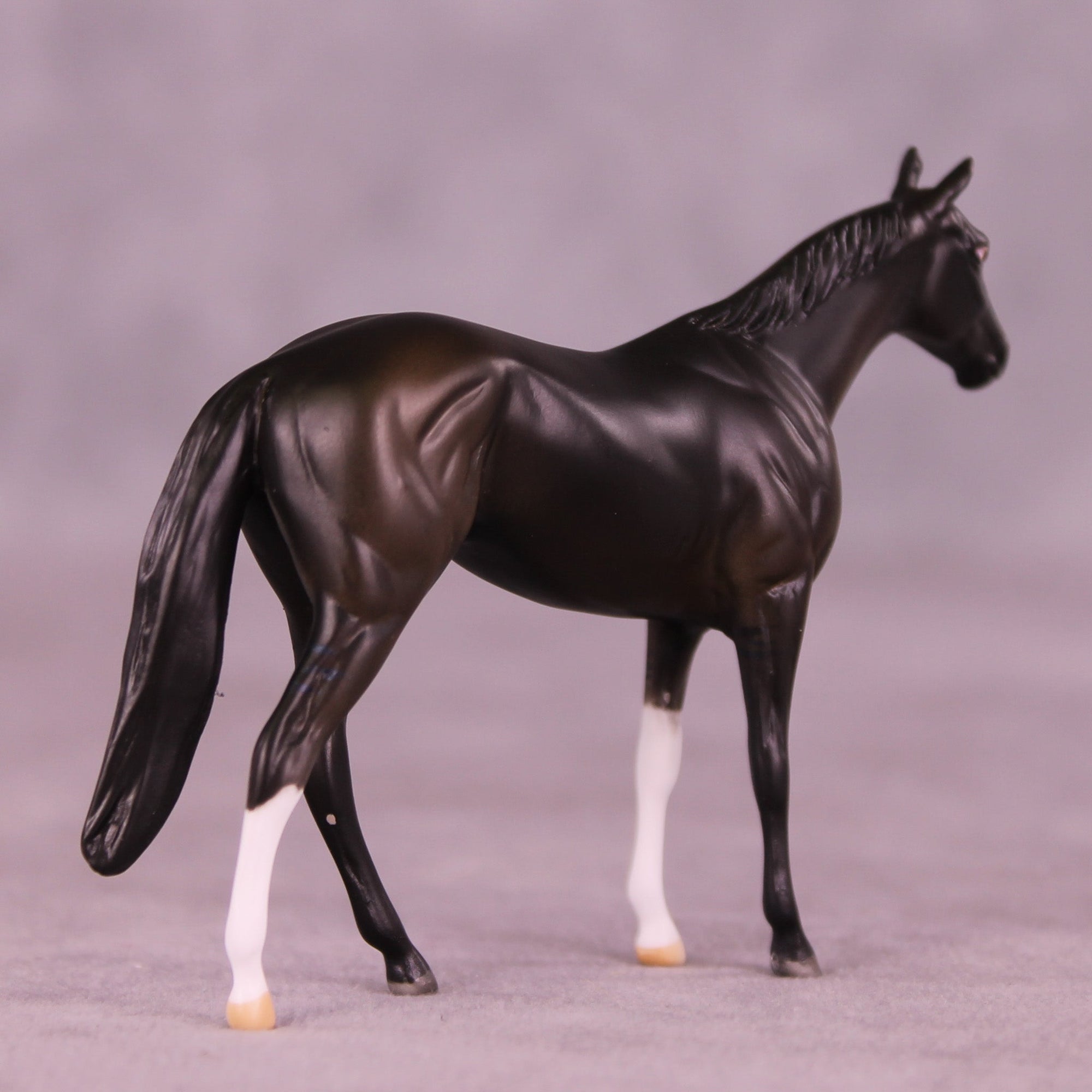 Rio OOAK Chip Thoroughbred  by Anna Rieck MM25 Group C