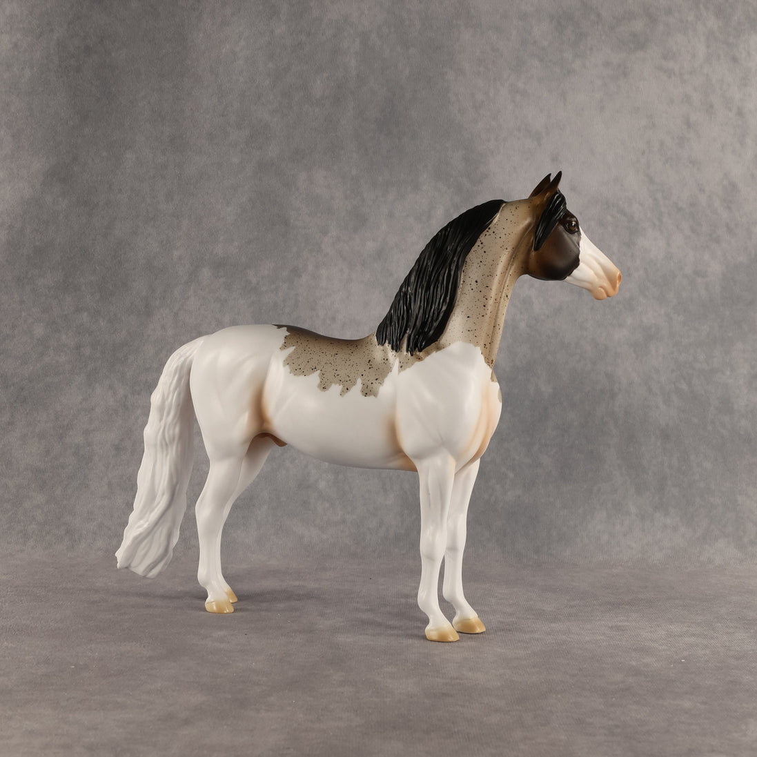 Robbin OOAK Morgan by Madi Wiseman SHCF26