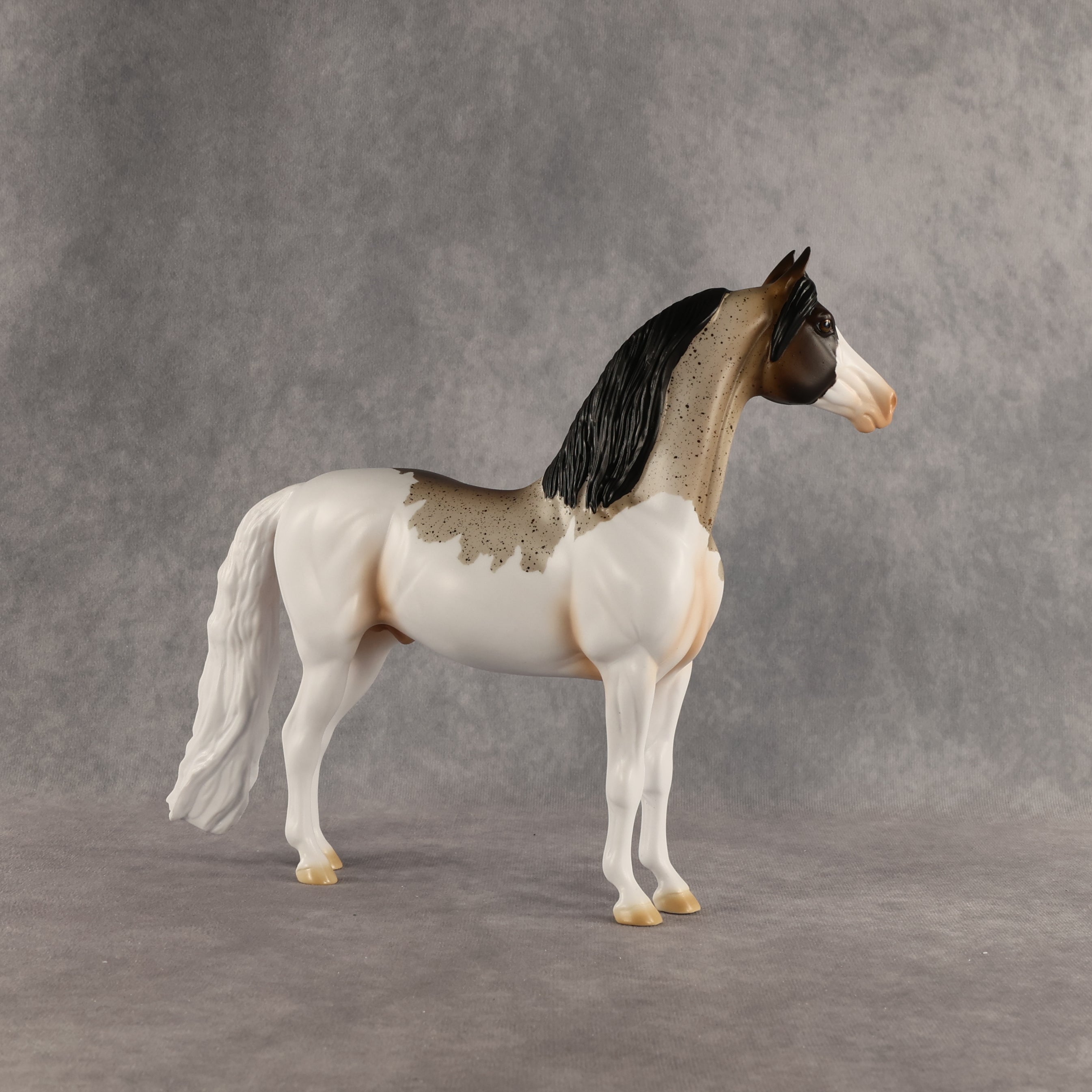 Robbin OOAK Morgan by Madi Wiseman SHCF26