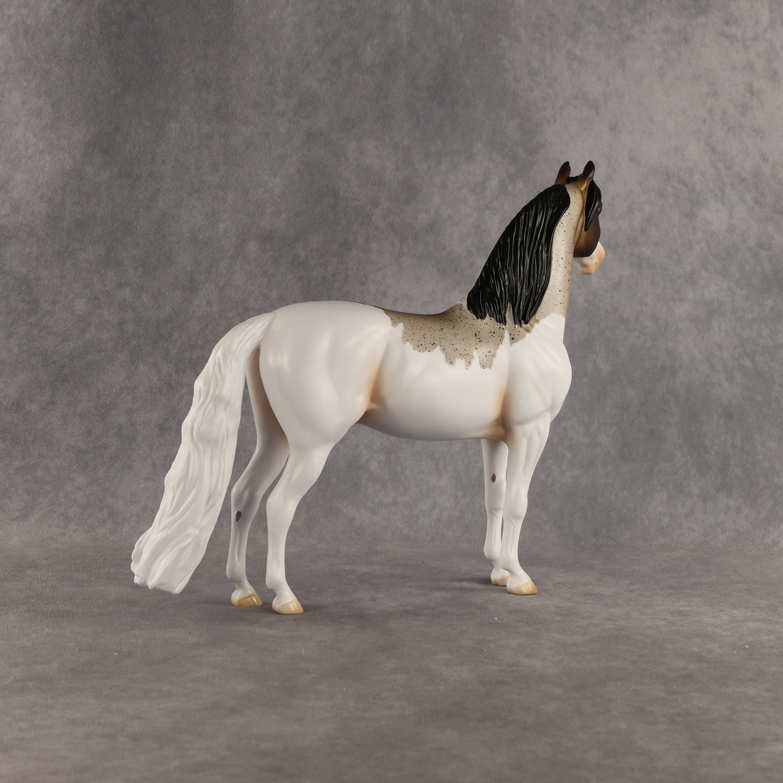 Robbin OOAK Morgan by Madi Wiseman SHCF26
