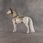 Robbin OOAK Morgan by Madi Wiseman SHCF26