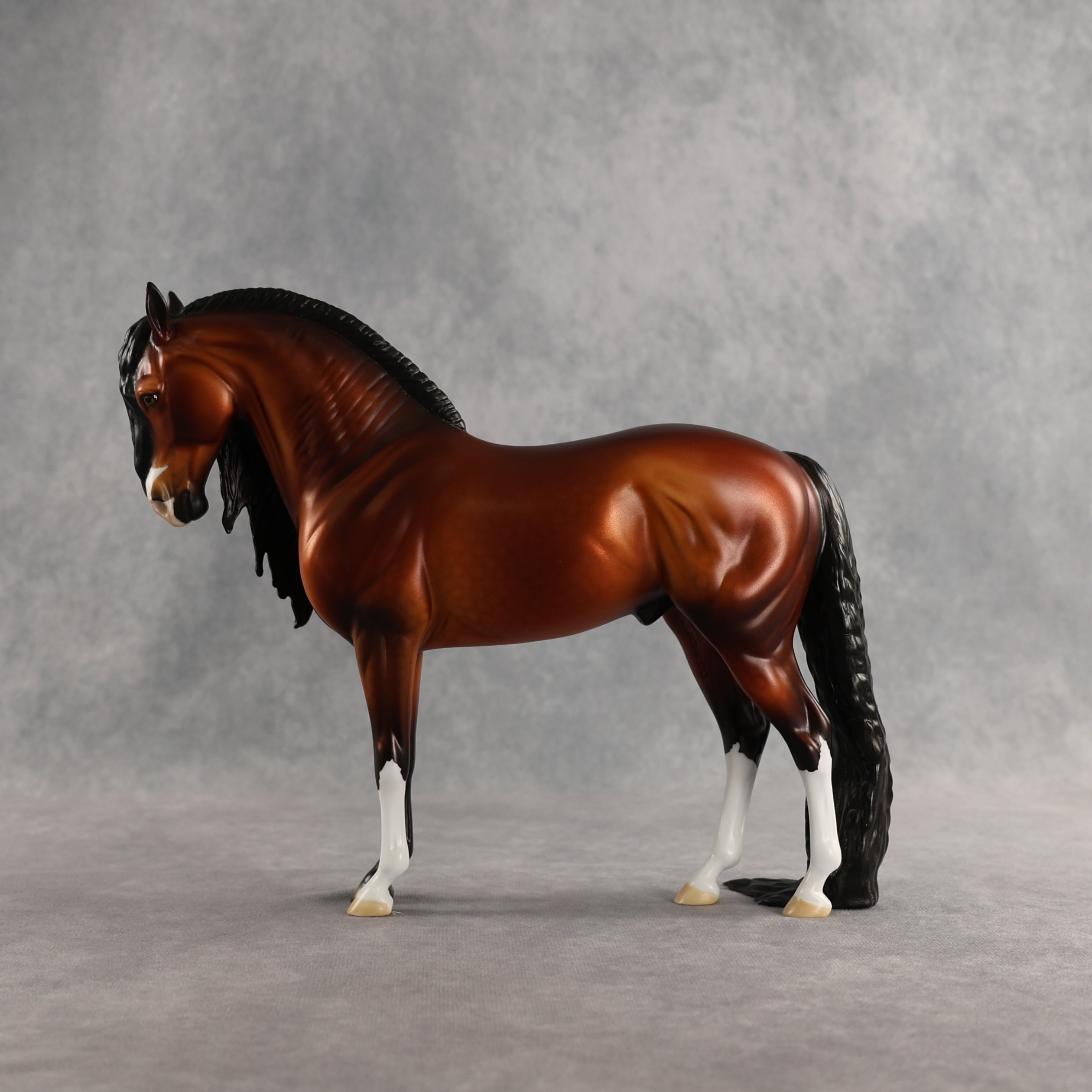 Rocket Surgeon OOAK Andalusian by Dawn Quick DDOOAKs26