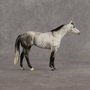 Roderick LE-10 FCM Chip Stock Horse by Ellen Robbins YP26