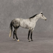 Roderick LE-10 FCM Chip Stock Horse by Ellen Robbins YP26