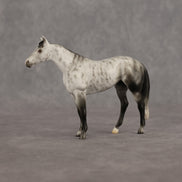 Roderick LE-10 FCM Chip Stock Horse by Ellen Robbins YP26