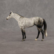 Roderick LE-10 FCM Chip Stock Horse by Ellen Robbins YP26