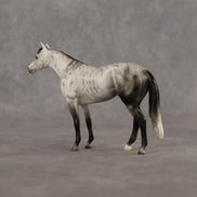 Roderick LE-10 FCM Chip Stock Horse by Ellen Robbins YP26