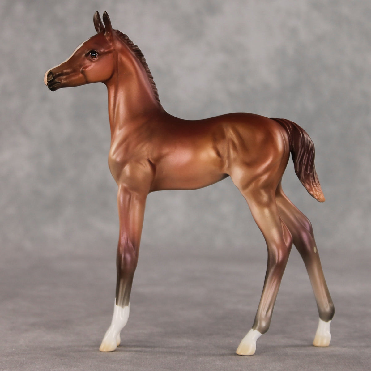 Rosehip OOAK FCM Arabian Foal by Jess Hamill VV26